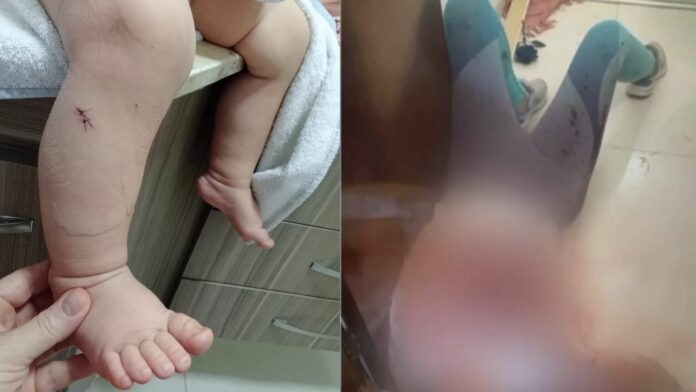 Um ano depois, engenheiro que esfaqueou ex-mulher grávida, filha e sogra vai à júri popular