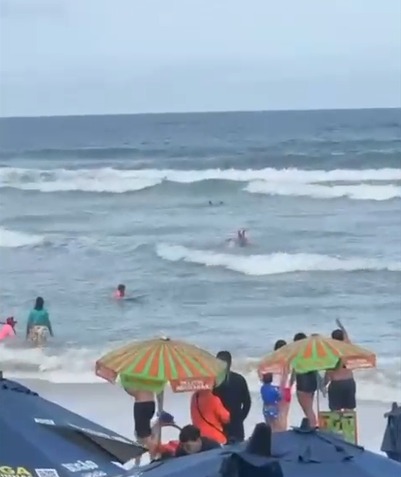 VÍDEO: Guarda-vidas e surfista salvam dois banhistas de afogamento em Ubatuba