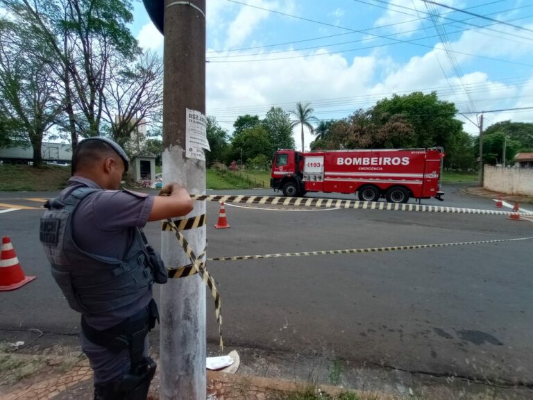 Enxame de abelhas ataca moradores em Santa Bárbara D’Oeste e deixa feridos