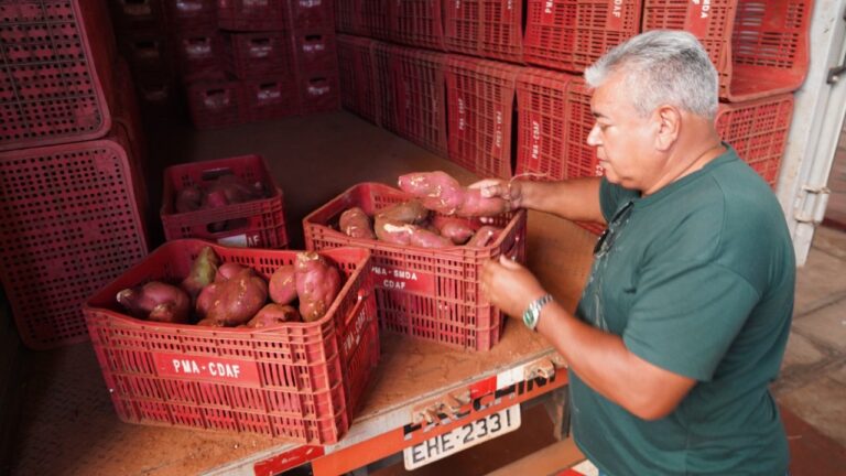 Secretaria de Desenvolvimento Agroindustrial recebe doação de 5 toneladas de batata-doce