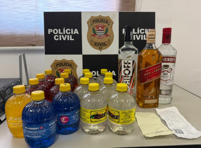 Imagens: Polícia Civil