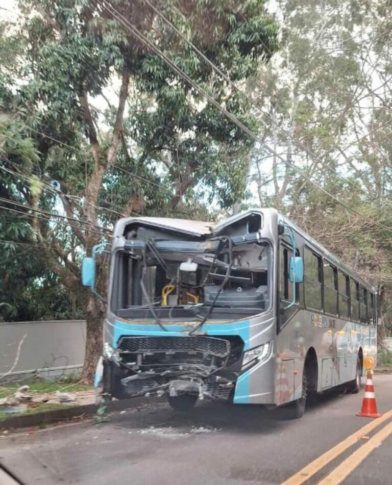 Ônibus de linha municipal de São Sebastião colide em poste na SP-55