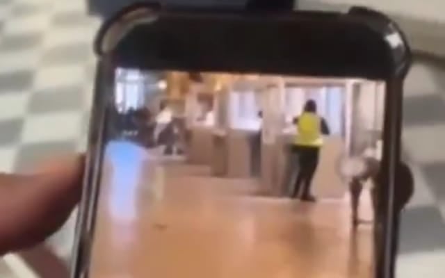 Imagens foram divulgadas pela imprensa francesa | Foto: Reprodução