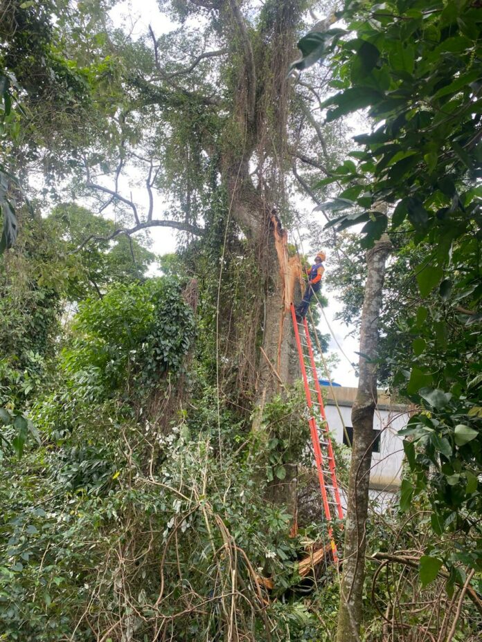 WhatsApp Image 2025-10-20 at 19.44.20