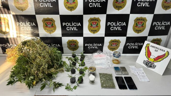 Operação prende homem por cultivo de maconha em chácara de Sumaré