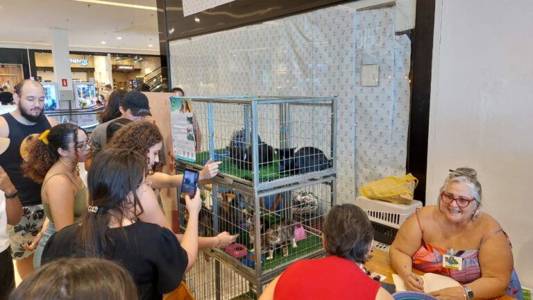 Domingo é dia de feira de adoção e vacinação no Praça Nova