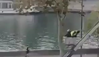 Criminosos saíram do museu por meio de uma plataforma de elevação acoplada a uma caminhonete | Foto: Reprodução