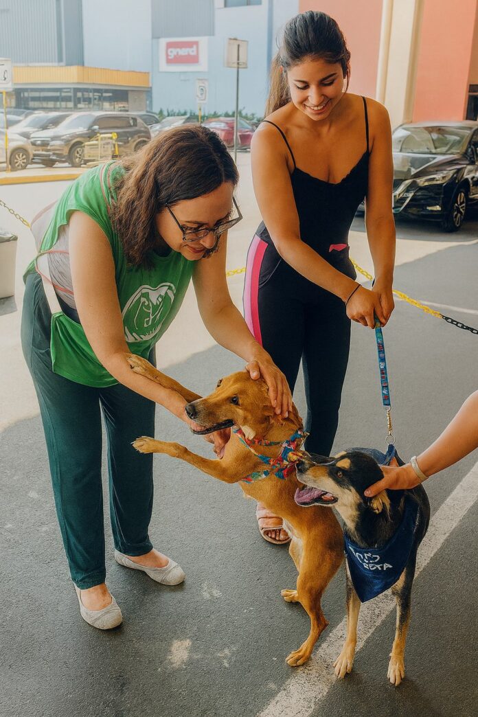 WhatsApp Image 2025-10-24 at 14.24.59