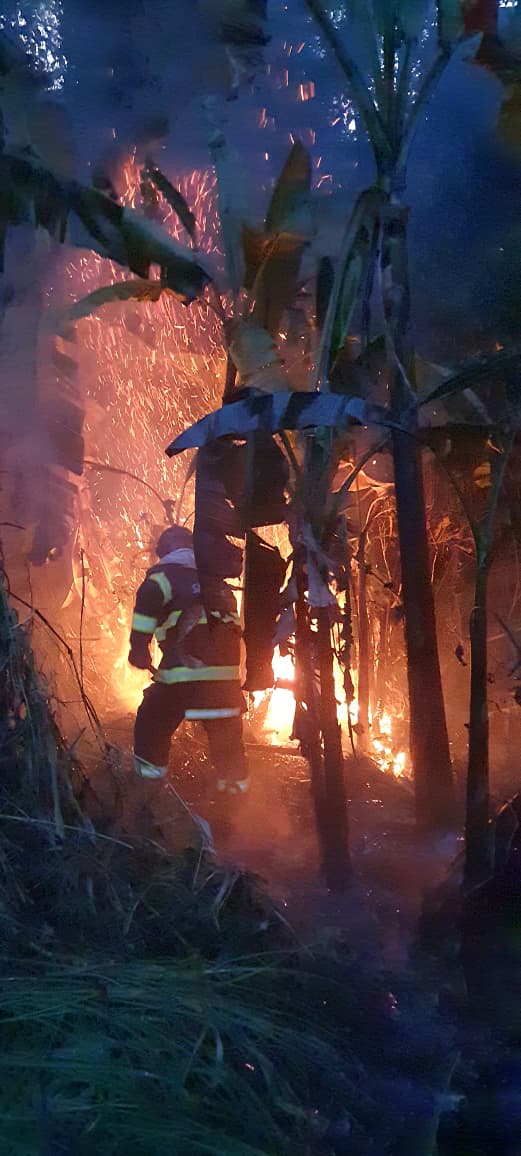 Bombeiros controlam incêndio em vegetação e evitam que fogo atingisse casas em Ilhabela
