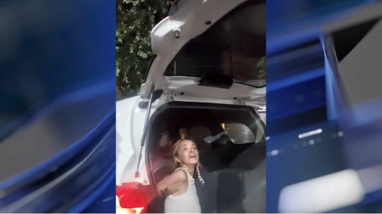 ‘Isso vai me fazer deputada federal’, diz ‘esquerdogata’ após ser detida pela PM