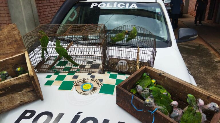 Pai e filho são autuados em R$ 182 mil por tráfico de animais