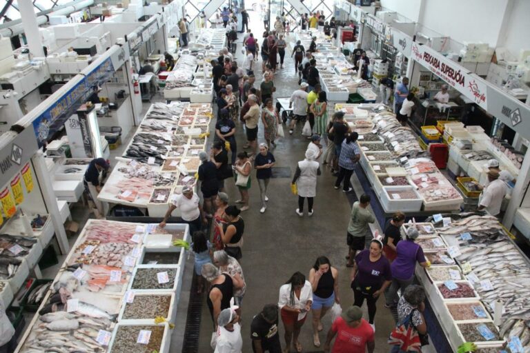 Mercado de Peixes de Santos oferece festival de descontos na tilápia
