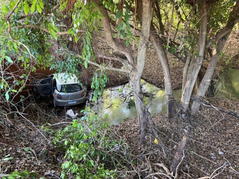 Casal fica ferido após carro cair em ribanceira ao desviar de tamanduá