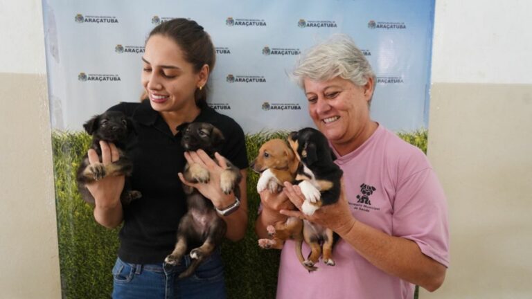 CCZ de Araçatuba acolhe 279 pets vítimas de maus-tratos