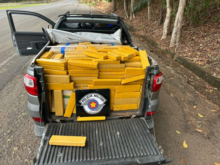 Policiais apreendem mais de 700 quilos de maconha em Rinópolis