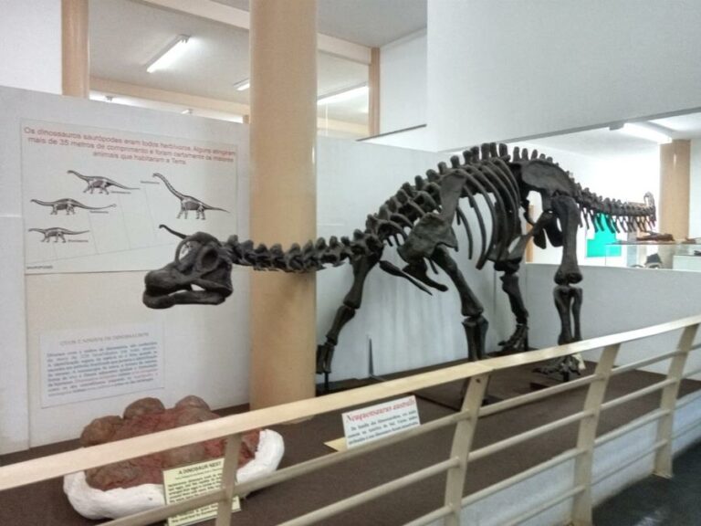 Museu de História Natural de Taubaté lança livro infantojuvenil sobre dinossauros