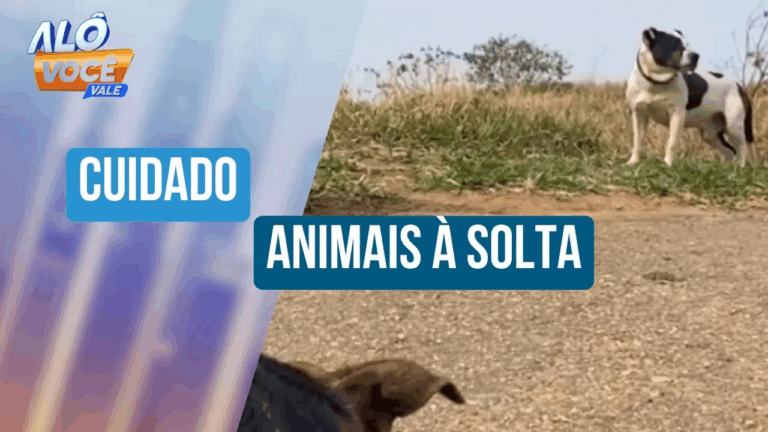 Moradores de Jacareí vivem com medo após ataques de cachorro abandonado