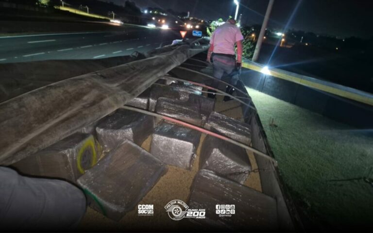 Mais de meia tonelada de maconha que seria levada ao Porto de Santos é apreendida