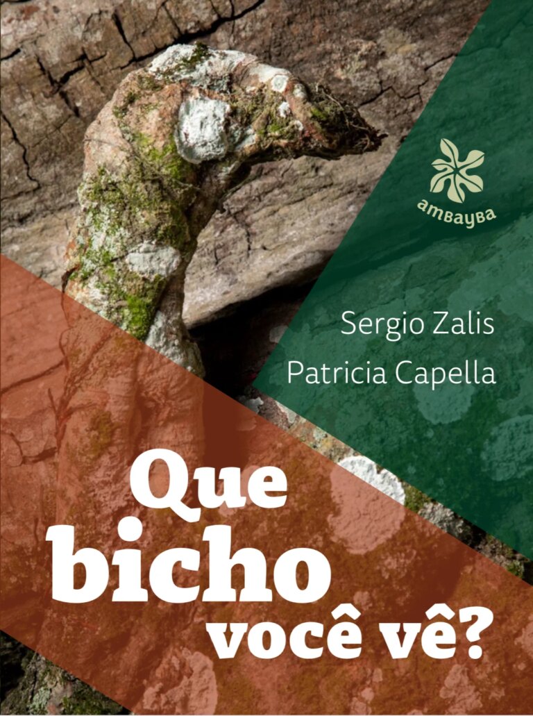 Miúdos & Melodias: Um passeio pela floresta da imaginação