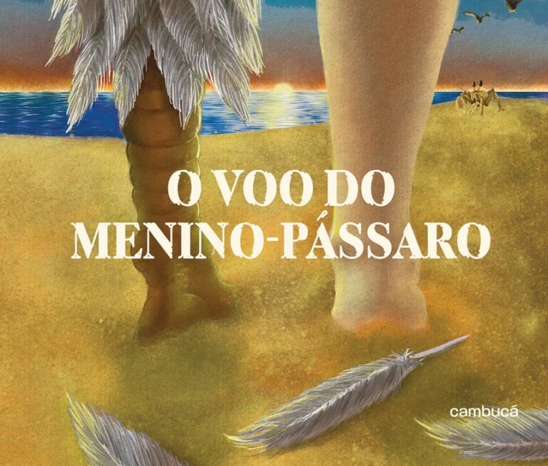 O voo do menino-pássaro: quando sonhar é também voltar pra Terra