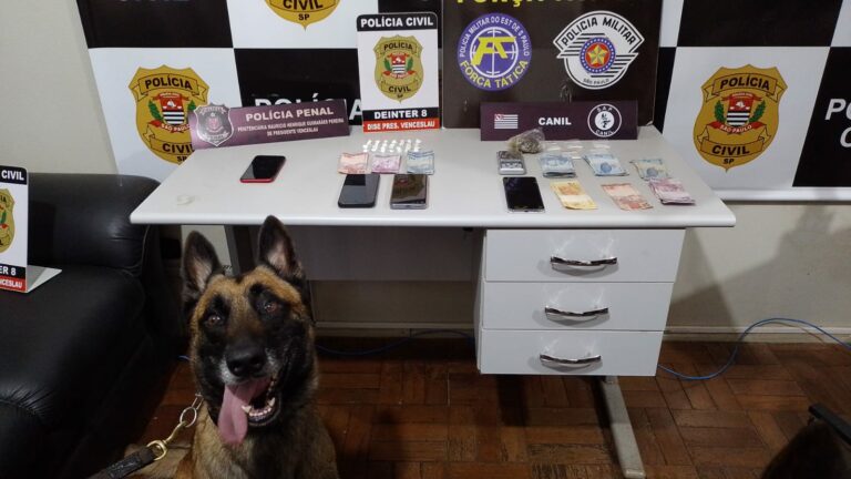 Nove pessoas são presas por tráfico de drogas em Venceslau e cidades vizinhas