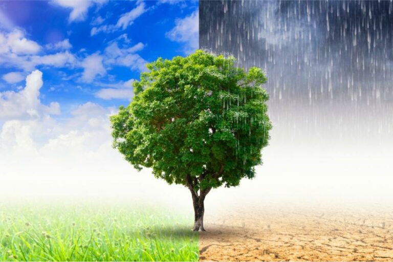 Prefeitura realiza reunião pública para elaboração do Plano Municipal de Adaptação e Resiliência Climática