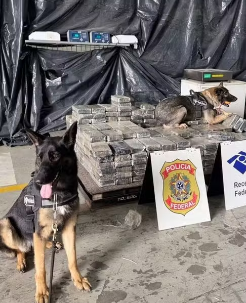 Receita Federal apreende mais de 400 kg de cocaína no Porto de Santos