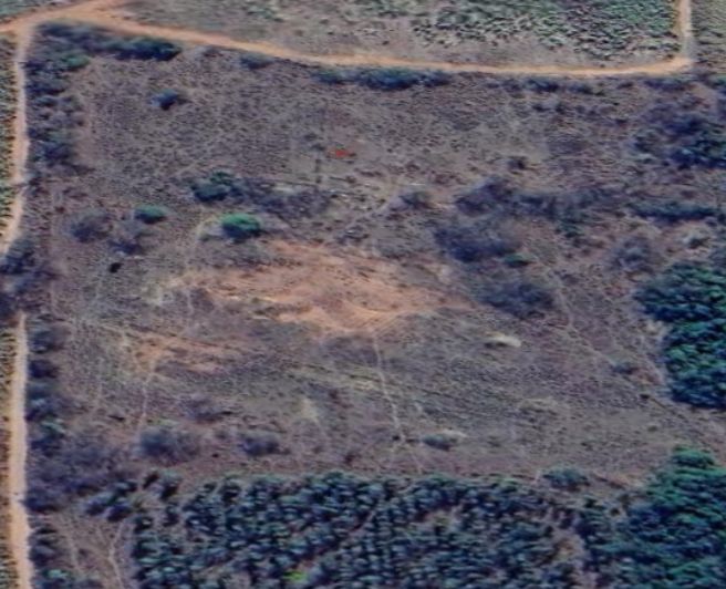 Proprietários rurais são multados em R$ 8,1 mil por desmatamento