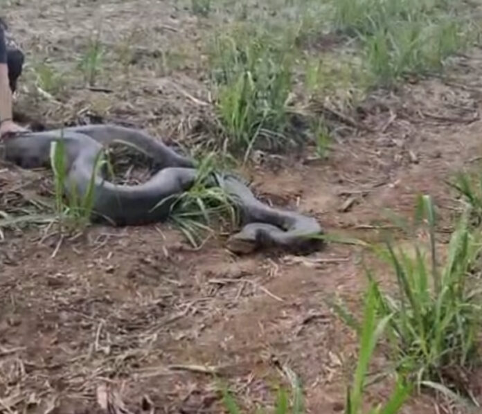 02058350-B3E7-4F55-97C6-CAA4FAEB488C