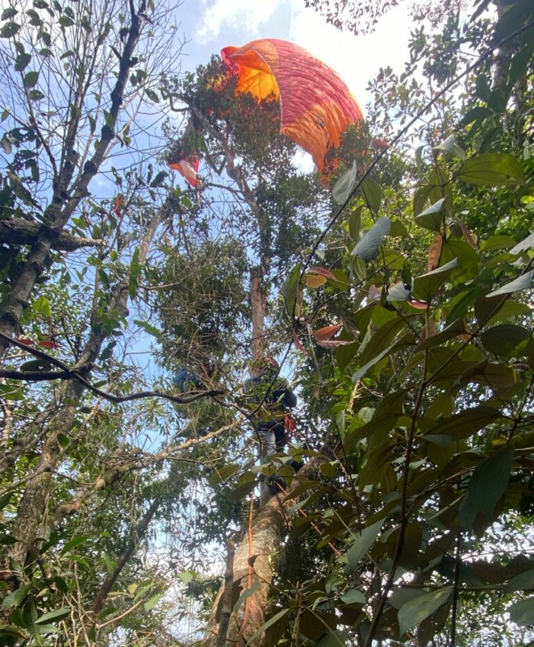Homem de 57 anos fica preso em árvores durante voo de parapente em Caraguatatuba