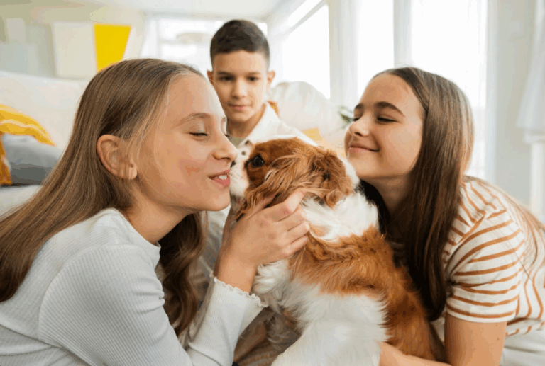 Vereador quer proibir restrições contra animais domésticos em condomínios de Ribeirão Preto