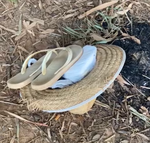 Homem morre afogado no Rio Jaguari ao tentar salvar sua cachorra em Americana Homem morre afogado no Rio Jaguari ao tentar salvar sua cachorra em Americana