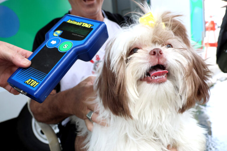 Projeto ‘Pet PG Chip’ retorna ao Bairro Samambaia nesta quinta