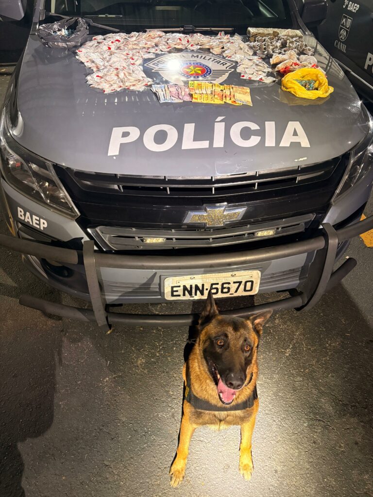 Adolescente de 17 anos é apreendido por tráfico de drogas em São José