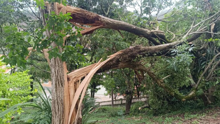 Temporal em Paraibuna causou prejuízo de mais de R$ 1,5 milhão, afirma prefeitura