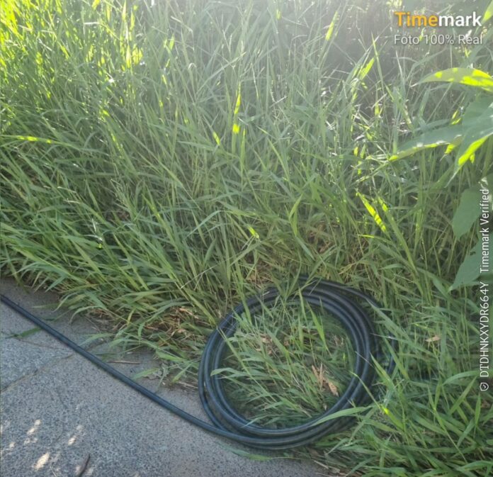 Polícia prende trio por furto de cabos telefônicos em rodovia de Hortolândia Polícia prende trio por furto de cabos telefônicos em rodovia de Hortolândia