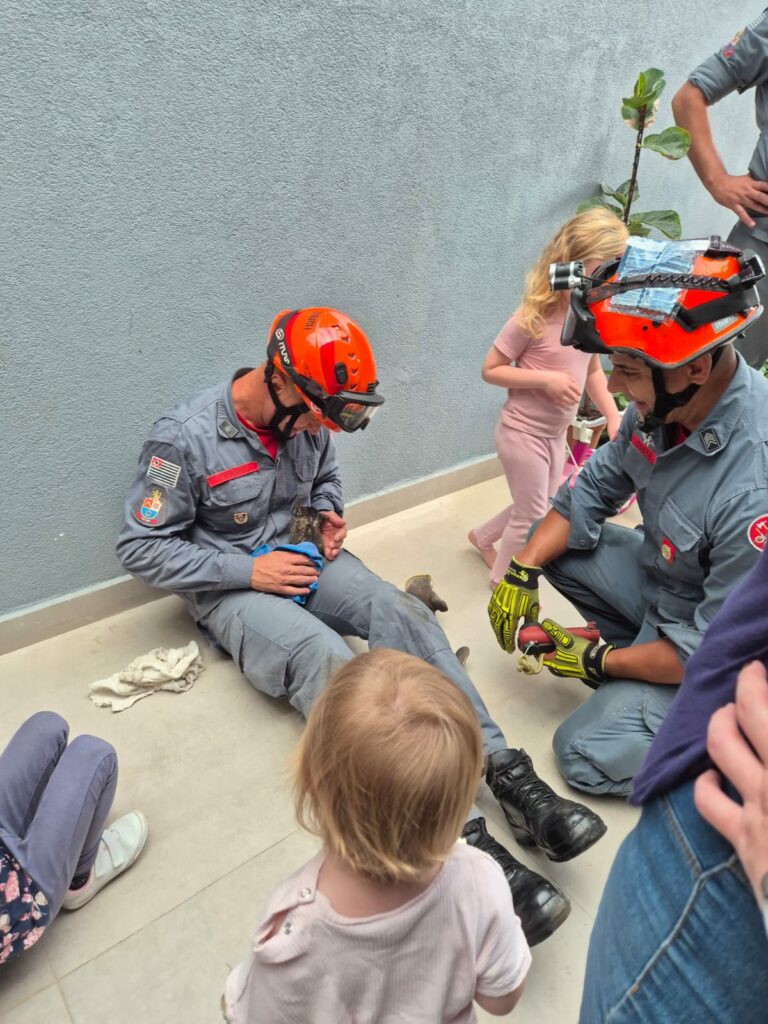 Bombeiros resgatam filhote de gato que havia caído em tubulação de esgoto em Cabreúva