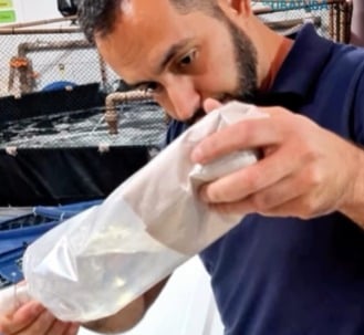 Aquário de Ubatuba recebe peixes apreendidos no Aeroporto de Guarulhos pelo Ibama