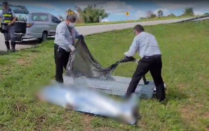 Homem é encontrado morto com perfuração na cabeça em Tremembé