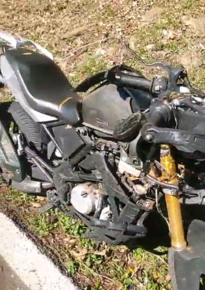 Motociclista fica ferido após queda de árvore em via de acesso da Tamoios, em Paraibuna