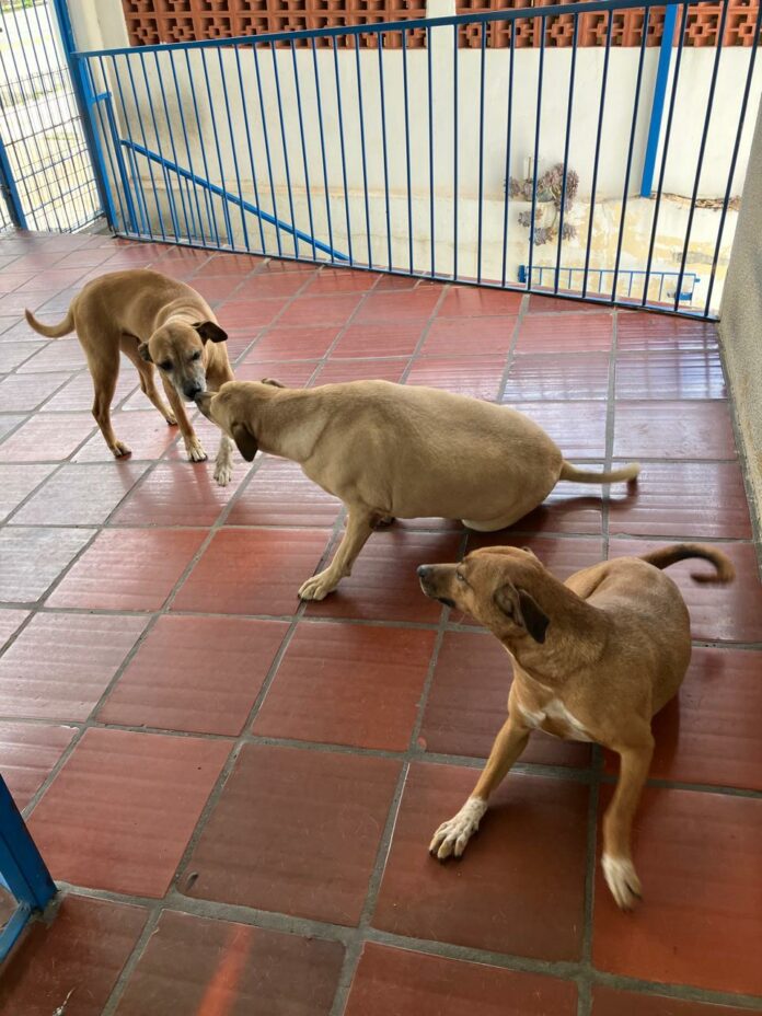 WhatsApp Image 2025-11-24 at 14.11.35