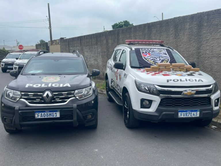 Polícia Civil apreende 9 tijolos de maconha em área de mata em Lorena