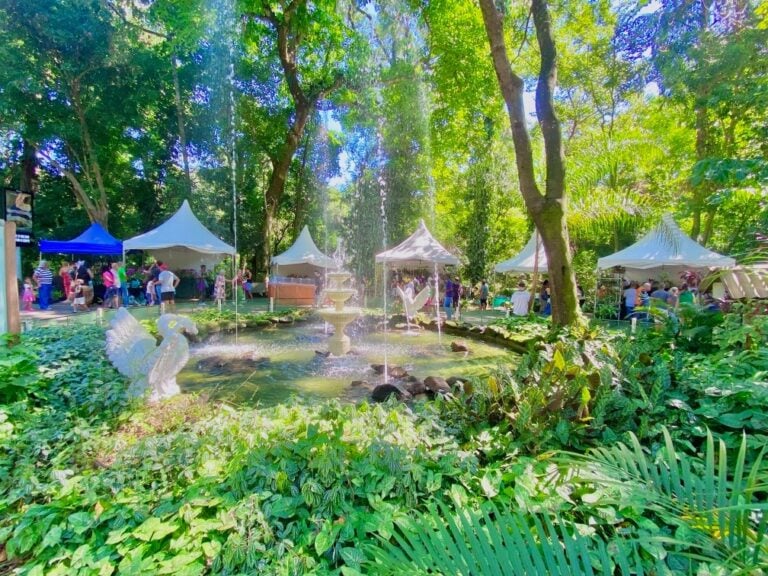 Dia D de combate ao mosquito da dengue mobiliza Campinas com teatro infantil e ações educativas