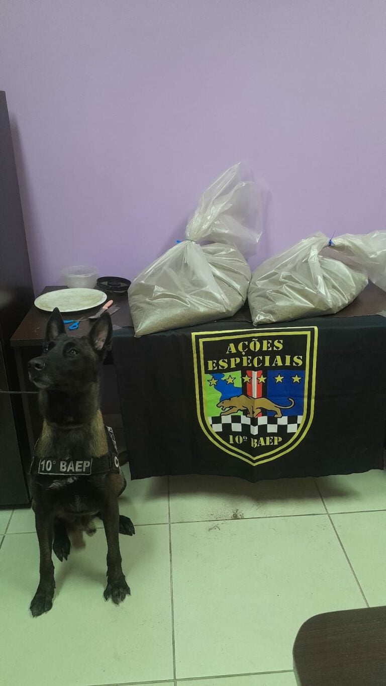 Polícia apreende entorpecentes e investiga suspeitos de comércio em Monte Mor