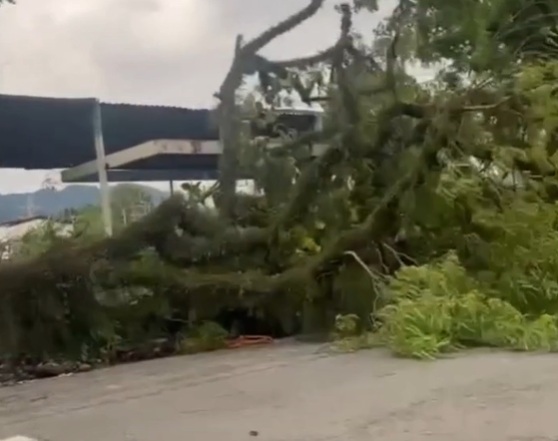 Ciclone Extratropical provoca ventos de quase 100 km/h e estragos em cidades da Baixada Santista; VÍDEO