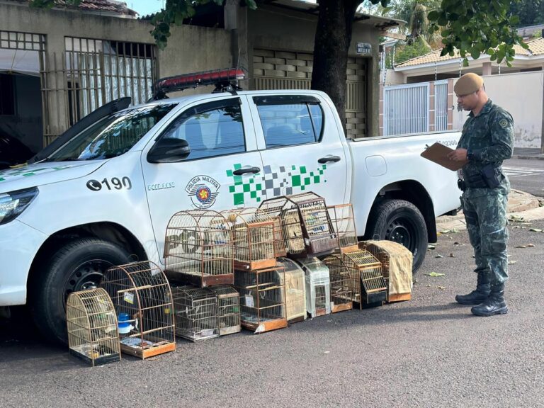 Idoso é multado em R$ 9 mil por manter aves silvestres em cativeiro