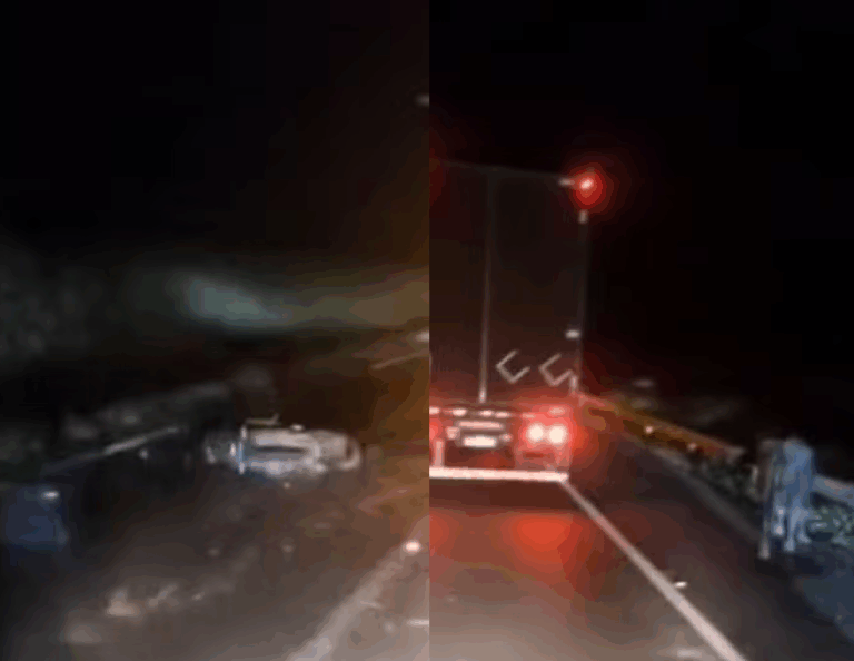 Motociclista morre após colidir com um búfalo na Régis Bittencourt em Juquiá