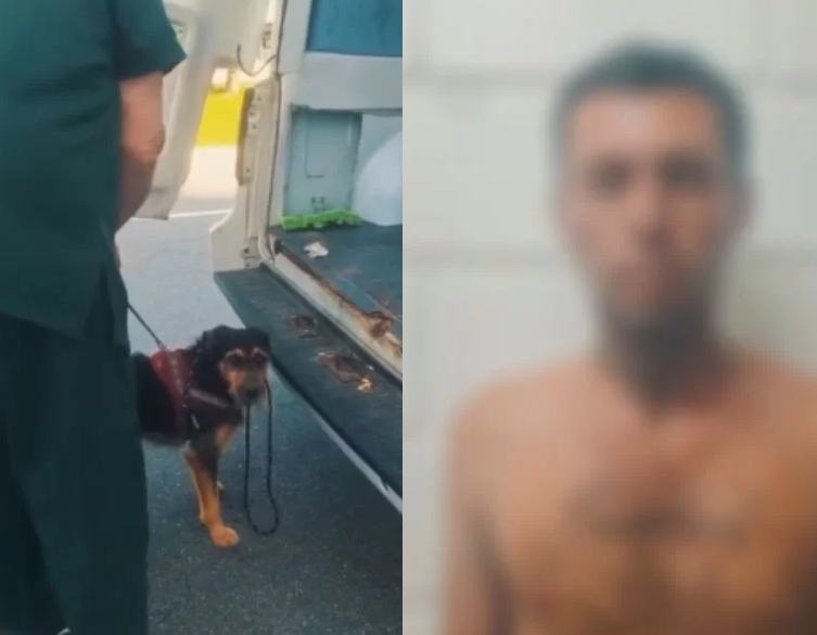 Homem foi preso por maus-tratos após arrastar um cachorro na rua em Bertioga