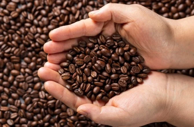 Café causa arritmia? Novo estudo surpreende e mostra que pode ser o contrário