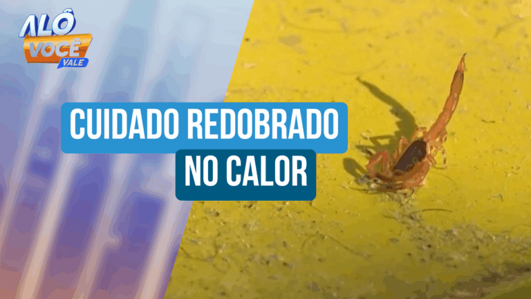 Incidência de escorpiões aumenta nesta época do ano e assusta a população